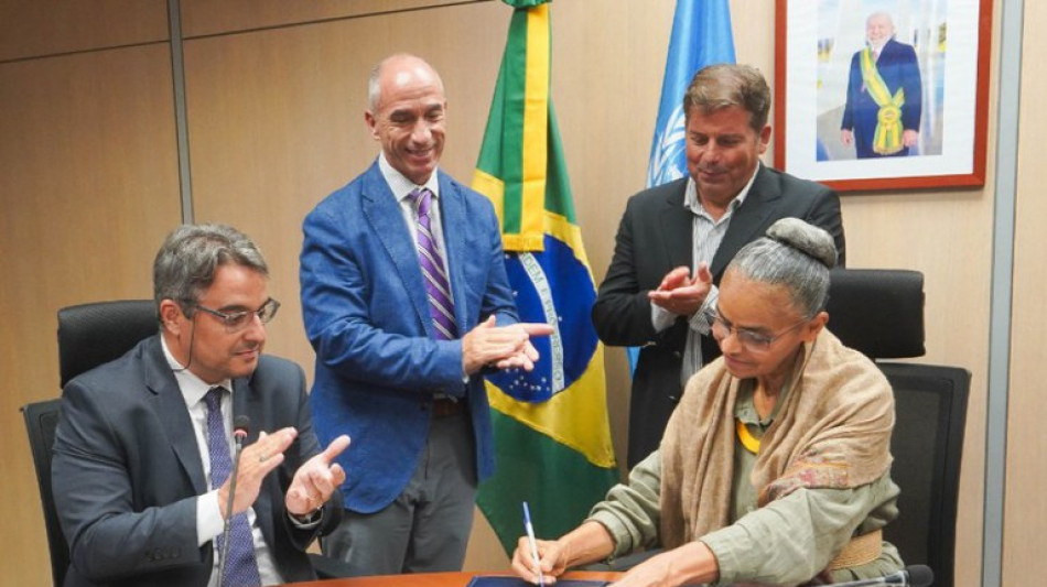 Nel 2025 in fumo 806 mila ettari di vegetazione in Brasile