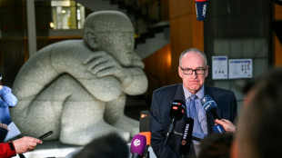 Nuevo rev&eacute;s legal para el partido de extrema derecha alem&aacute;n AfD
