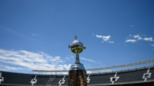 Copa Libertadores: finale 100% br&eacute;silienne entre Botafogo et l'Atl&eacute;tico Mineiro