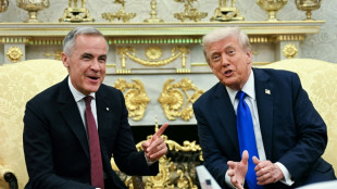 Trump talks up Canada trade deal chances with 'world-class' Carney