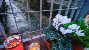 Zoe uccisa, l'autopsia chiarir&agrave; se il 118 avrebbe potuto salvarla