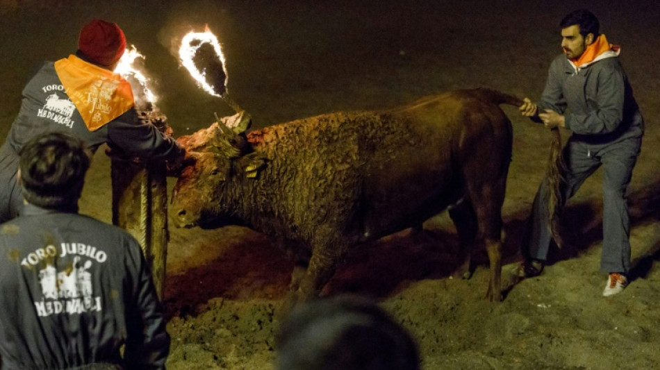 El festejo taurino de Espa&ntilde;a que levant&oacute; indignaci&oacute;n