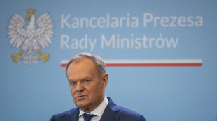 Polonia anuncia una operaci&oacute;n contra una red de espionaje rusa
