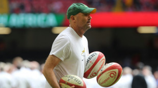 Nienaber wants more from Springboks after Wales rout
