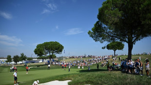 Scheffler to lead USA's bid to end European Ryder Cup hoodoo