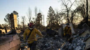 Autoridades encontram restos mortais da 30ª vítima dos incêndios em Los Angeles