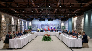 Russia, Ukraine head to Istanbul for fresh peace talks