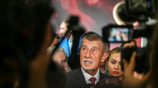 Nach Wahlsieg von Babis in Tschechien: Gespräche mit Staatschef Pavel geplant