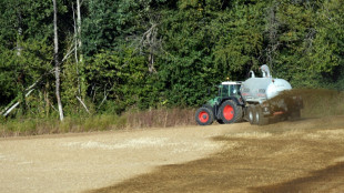 Tausende Liter G&uuml;lle ergie&szlig;en sich nach Unfall auf Stra&szlig;e in Niedersachsen