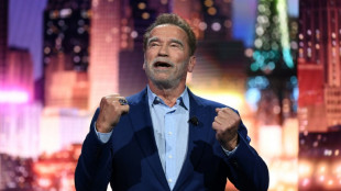 Schwarzenegger, retenido en el aeropuerto de M&uacute;nich por omitir declarar un reloj