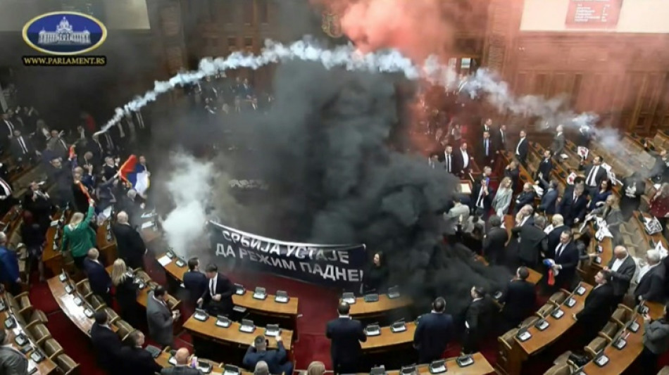 Mit Leuchtfackeln und Tr&auml;nengas: Protestaktion der Opposition im serbischen Parlament