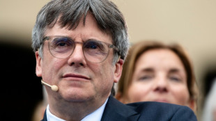 El catal&aacute;n Puigdemont logra un apoyo clave en la batalla por su reconocimiento como eurodiputado