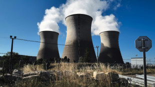 S&ucirc;ret&eacute; nucl&eacute;aire: un vote-cl&eacute; sur le projet de fusion ASN/IRSN repouss&eacute; &agrave; mardi