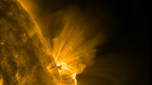 Rintracciata l'origine dei misteriosi tornanti magnetici del Sole