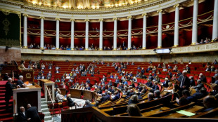 Nouvelle-Cal&eacute;donie: la r&eacute;forme constitutionnelle vers un rejet &agrave; l'Assembl&eacute;e