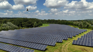 Deutsche Solarstrom-Produktion erreicht im Juli Rekordwert