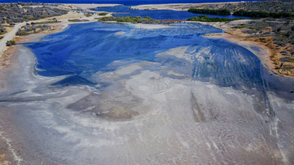 Justice climatique: les Pays-Bas ordonn&eacute;s de mieux prot&eacute;ger une de leurs &icirc;les