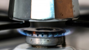 EU-Energieminister einigen sich nach monatelangem Streit auf Gaspreisdeckel