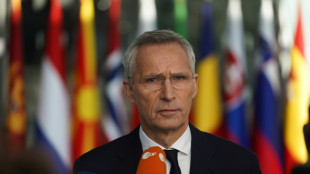 Apr&egrave;s les attaques de Trump, l'Otan met en avant des budgets en hausse
