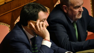 Pol&eacute;mica en Italia tras una pelea entre diputados en el Parlamento