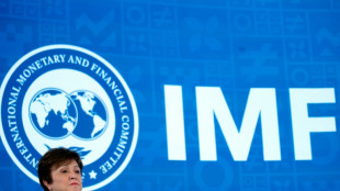 Le FMI reconduit Kristalina Georgieva au poste de directrice g&eacute;n&eacute;rale