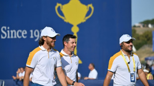 McIlroy hopes to 'live up' to Molinari in Fleetwood partnership