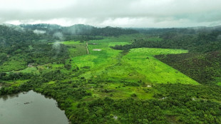 La UE propone suavizar las normas contra la deforestación para facilitar su implementación