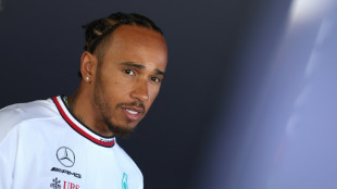 Hamilton praises Brazil for fining Piquet over racist comments