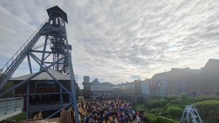 Consiglio generale italiani all'Estero commemora Marcinelle