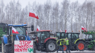 Ukraine: accord dans l'UE pour plafonner les importations de volailles, ma&iuml;s et avoine