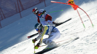 Germany's Schmid, Norway's Tviberg win world parallel golds