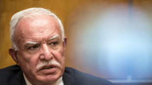 El ministro de Exteriores palestino cree que Ham&aacute;s aceptar&aacute; un nuevo gobierno "tecnocr&aacute;tico"