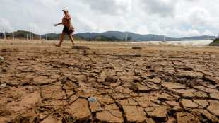 Por sequ&iacute;a, Colombia deja de exportar energ&iacute;a a Ecuador, que anuncia racionamiento