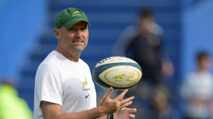 Heat and humidity of Corsica will benefit Springboks, says Nienaber