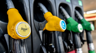 Carburants: la vente &agrave; perte possible "d&eacute;but d&eacute;cembre"