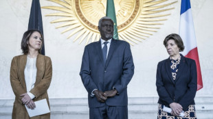 Baerbock ruft zu st&auml;rkerer Zusammenarbeit zwischen Europa und Afrika auf
