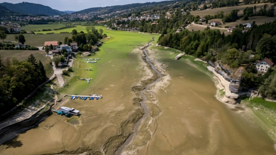 Europe heatwaves scorch 80 million with 40 C heat: AFP analysis