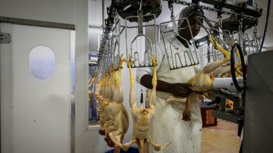 La tasa de desempleo de la zona euro se mantiene estable en septiembre