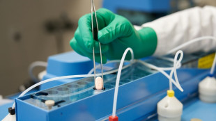 Ausgaben f&uuml;r Forschung und Entwicklung erreichten 2021 neuen Rekordwert