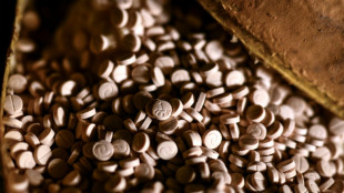 &Uuml;ber 300.000 Tabletten in Mietwagen: Zollbeamte nehmen Drogenschmuggler fest