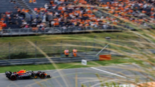 Verstappen tops opening practice at home Dutch Grand Prix