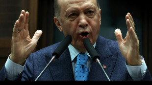 Pr&auml;sidentschafts- und Parlamentswahlen in T&uuml;rkei werden auf 14. Mai vorverlegt