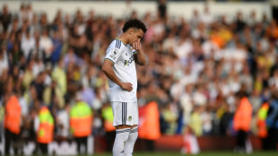 Leeds fans entitled to slam players after relegation: Allardyce