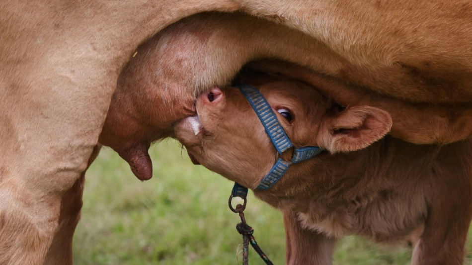 Anstieg der Erzeugerpreise f&uuml;r landwirtschaftliche Produkte im Juli etwas schw&auml;cher
