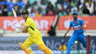 Retiring Warner key for Australia's World Cup title hopes