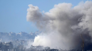 Les pourparlers s'acc&eacute;l&egrave;rent pour une tr&ecirc;ve et la lib&eacute;ration d'otages &agrave; Gaza