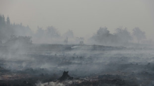 WMO: Hitzewellen und Waldbr&auml;nde verschlechtern die Luftqualit&auml;t
