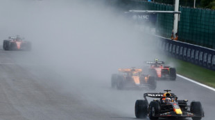 Verstappen wins wet, wild sprint race at Belgian Grand Prix