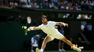 Alcaraz shines as Murray hints Wimbledon days numbered