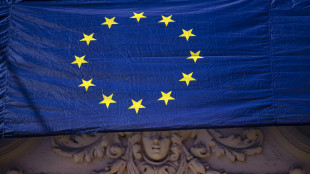 Battuta d'arresto per la manifattura Ue, l'indice Pmi a 48,8 punti